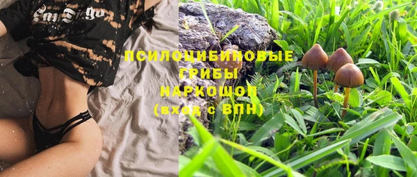 винт Абаза
