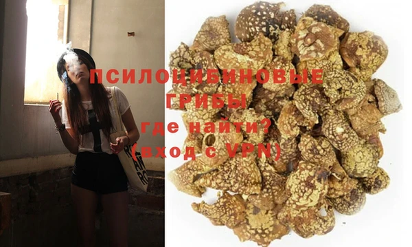 крисы Абдулино