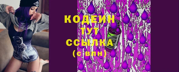 винт Абаза