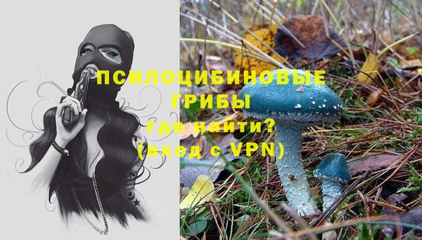 спайс Осинники