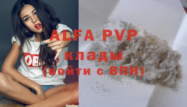 винт Абаза