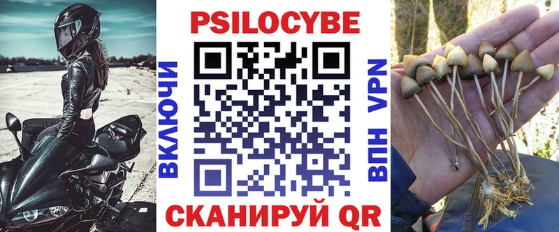 Галлюциногенные грибы Psilocybe  что такое   Донецк 
